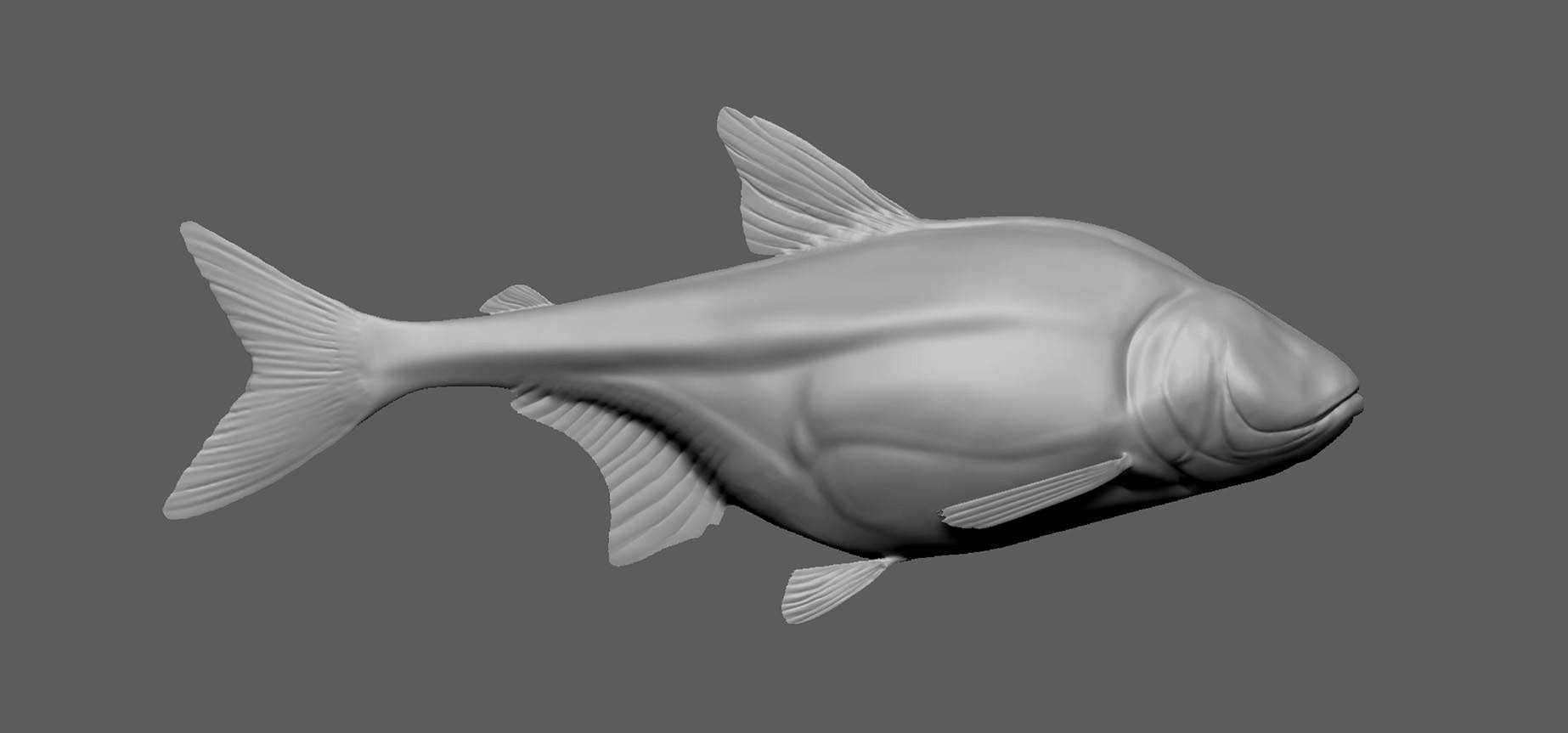 Mexican Blindfish 3D model